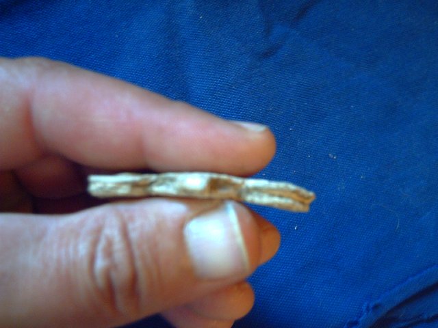 lead seal may 20 010