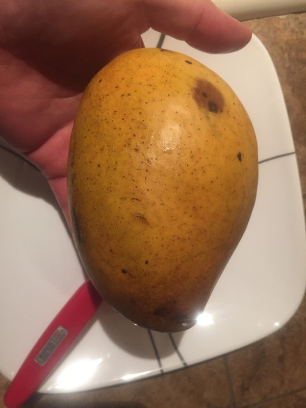 6C2161C5-019B-4C88-AED5-3044020EA1E6