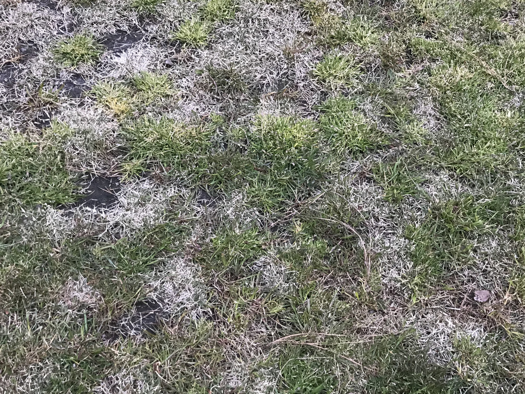 44069DF8-C8CF-431D-A032-BE8209B0E422