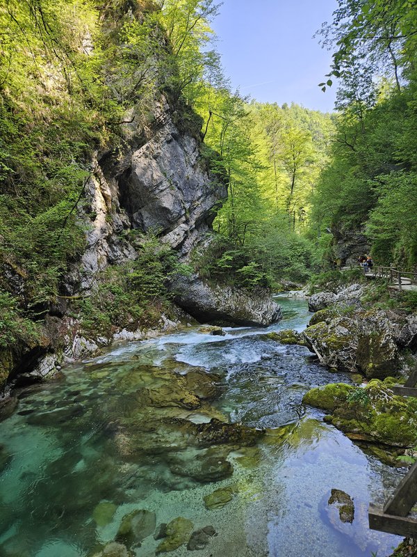 Slika