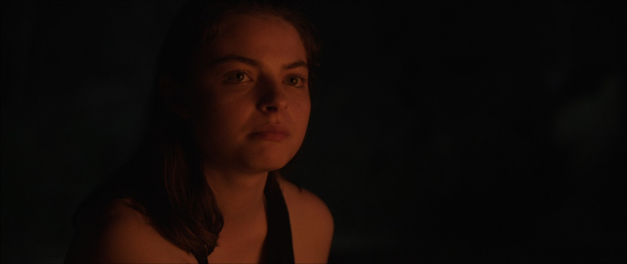 Killing Ground 2016 (1080p x265 10bit Tigole).mkv_snapshot_00.14