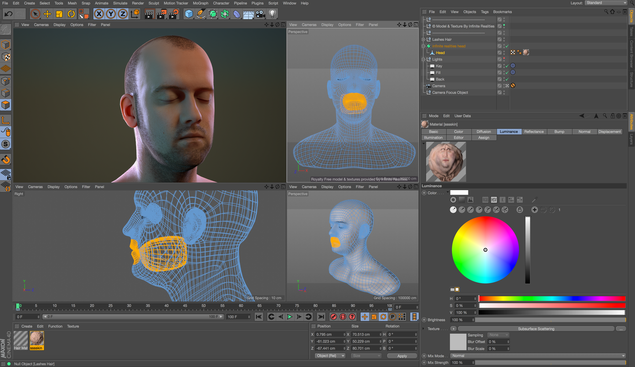 Cinema-4-D-R17-Studio-Application-Screen