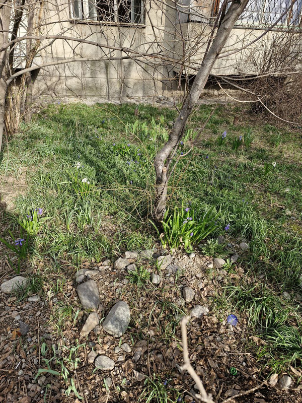 IMG_20240328_184455_074