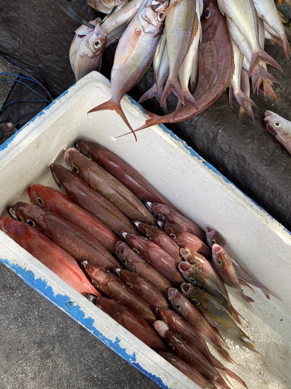 E38ACC36-B621-4F22-BCBA-B8D4FF007A36