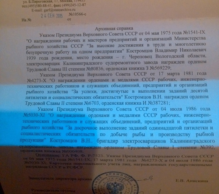 Костромцов Архив справка