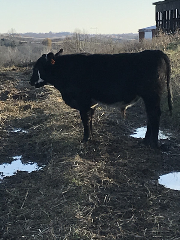 D0FBB004-81FF-4A49-93BE-CD0BB703FC10