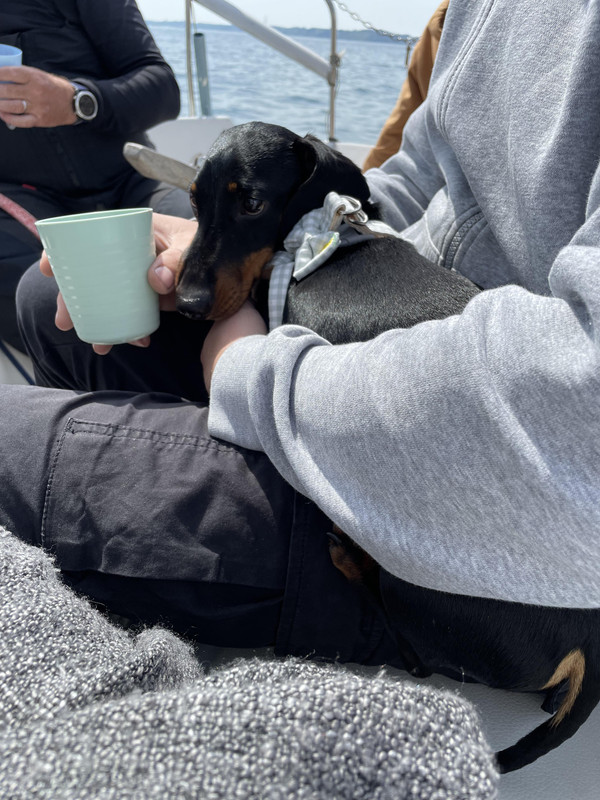 [Image: received-2069757920082542.jpg]