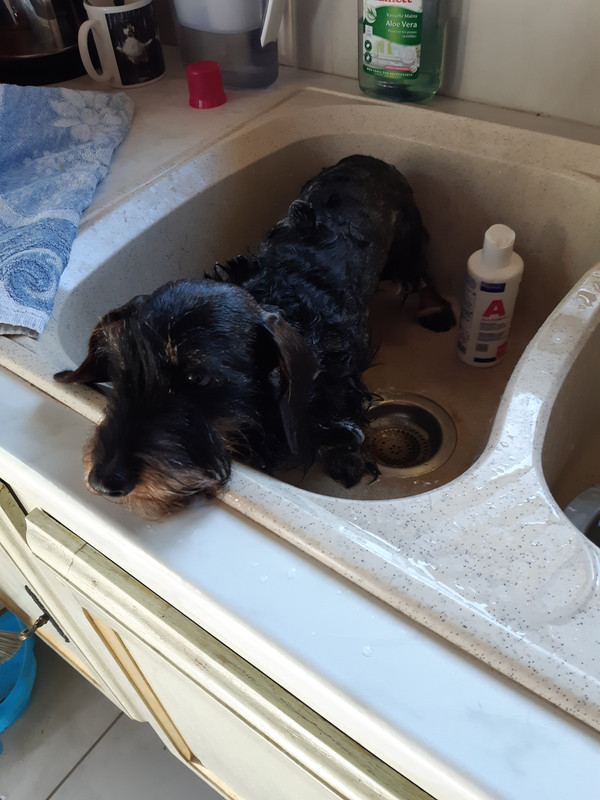 [Image: 20230503-154938.jpg]