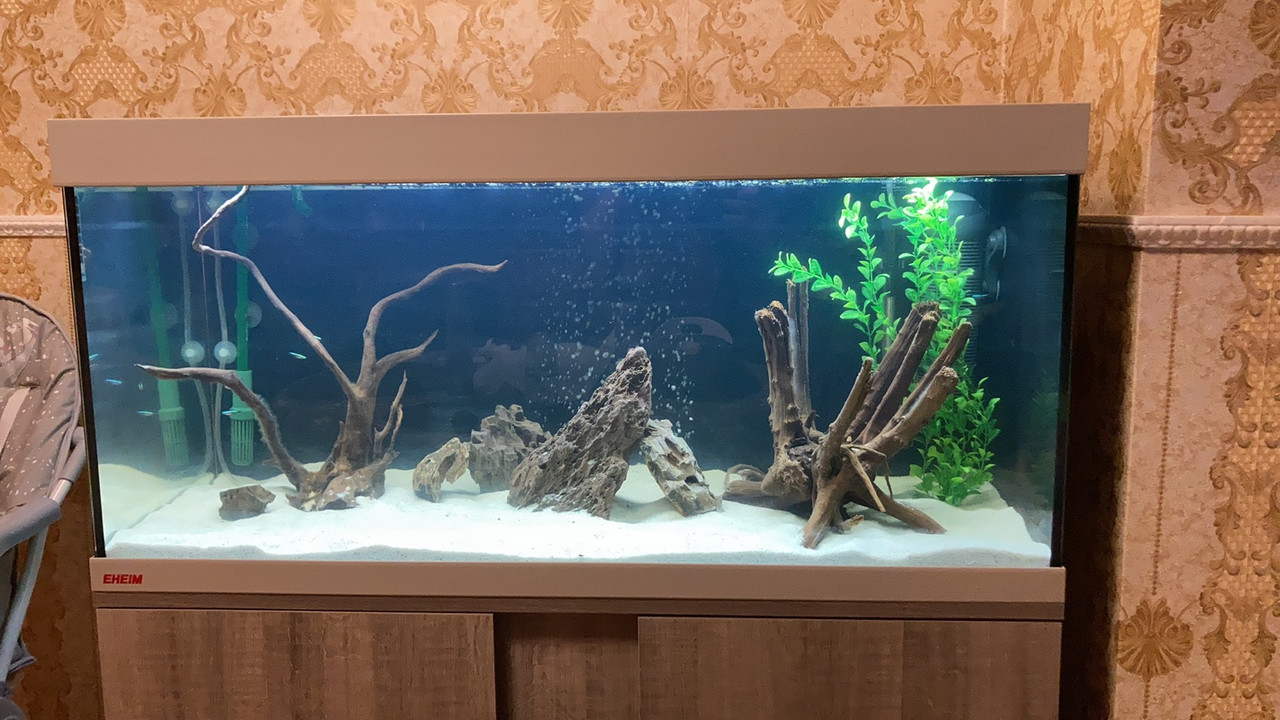 E5B470CA-19FA-4966-AFF5-2E24A068B616