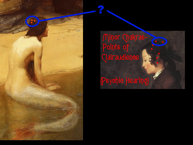are-they-different-or-the-same.png