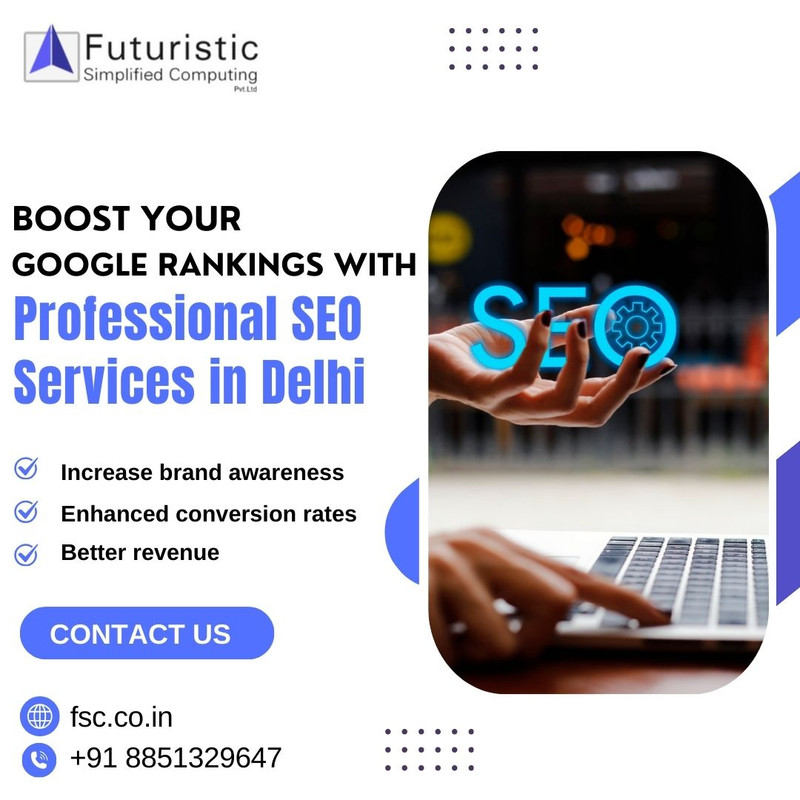 professional seo services in delhi