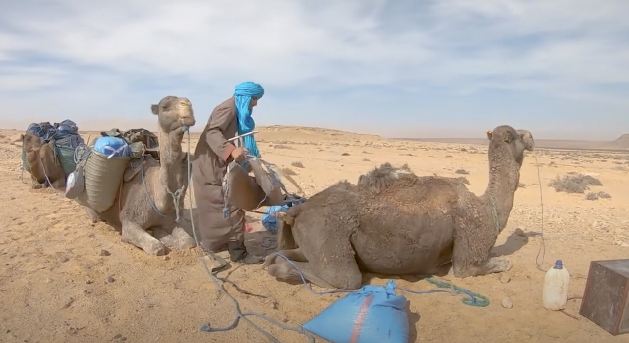 El Valle del Drâa, la gran arteria del sur de Marruecos - Blogs de Marruecos - Información viajera e histórica (2)