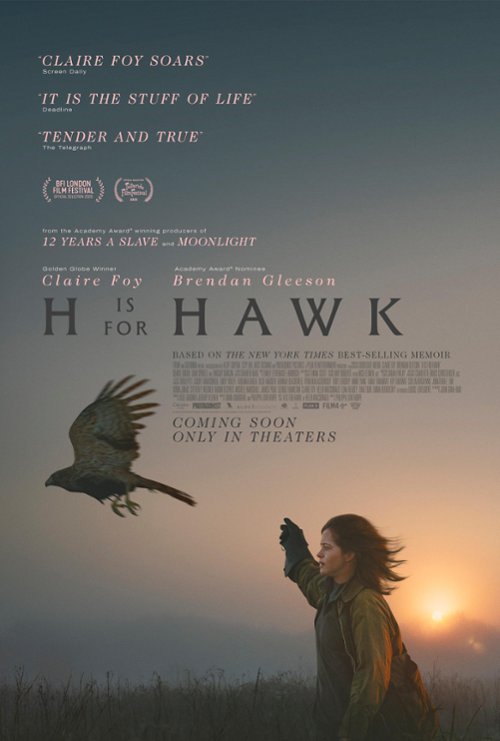 M jak Mabel / H Is for Hawk (2025) PL.BRRip.XviD-AZQ / Lektor PL