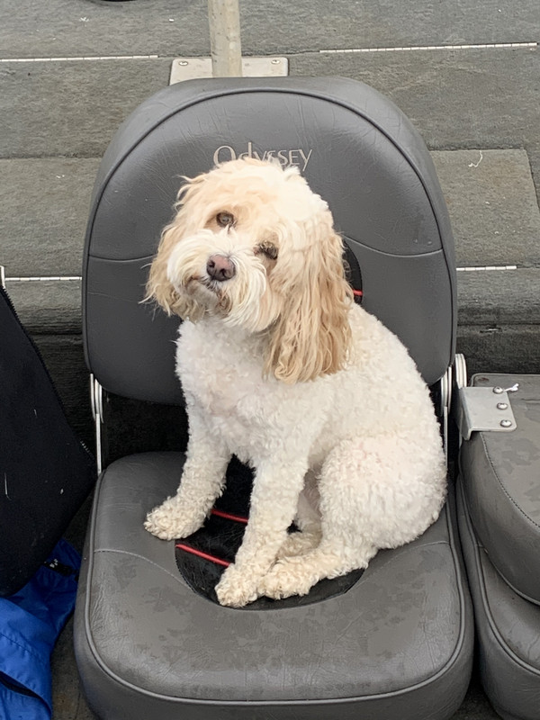 D471091B-FB37-4727-BDCE-E92FB4262432