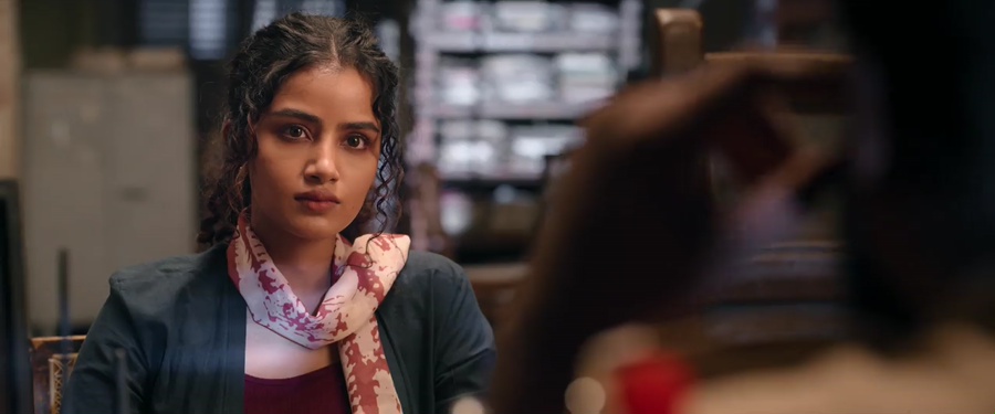 Eagle 2024 WebRip [Hindi + Telugu] 480p, 720p ESub Screenshot