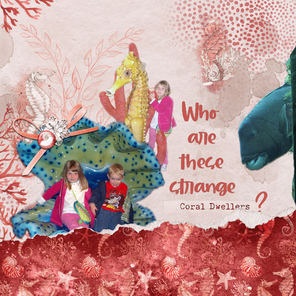 Strange-Coral-Dwellers.jpg