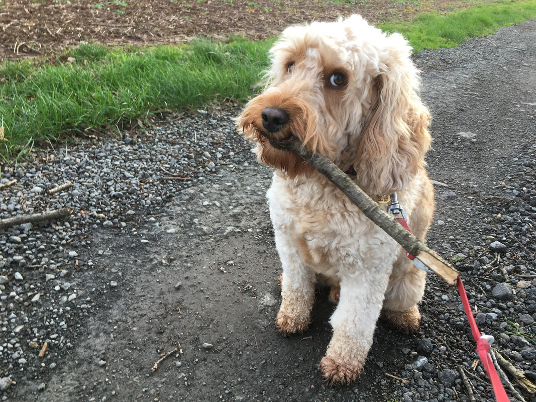 B1BA8DF2-8E10-4F1B-9E1C-A852C6478DEB