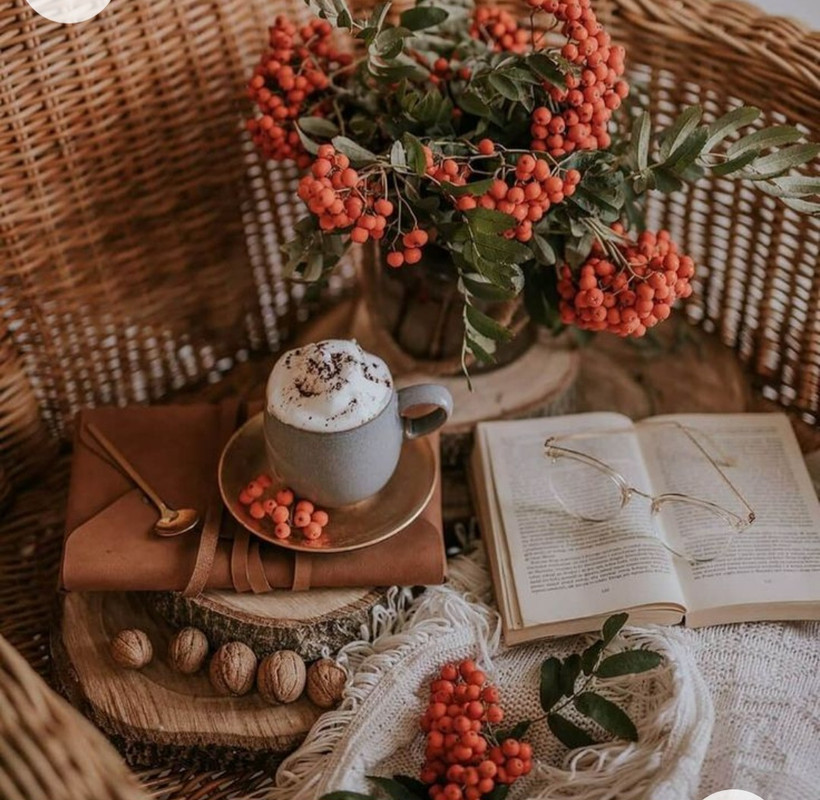 Screenshot_20221227_013037_Chrome