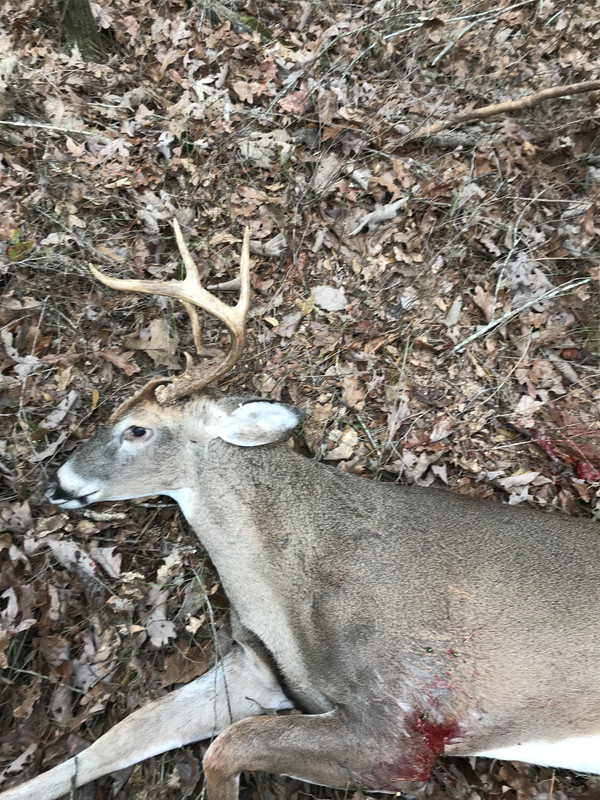 ABA49A14-BF65-4580-86D3-1193572311E8