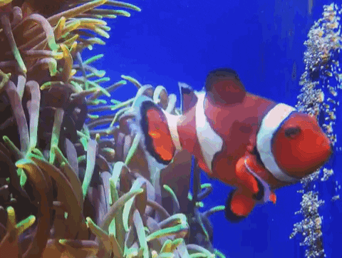 20260408_004500.gif