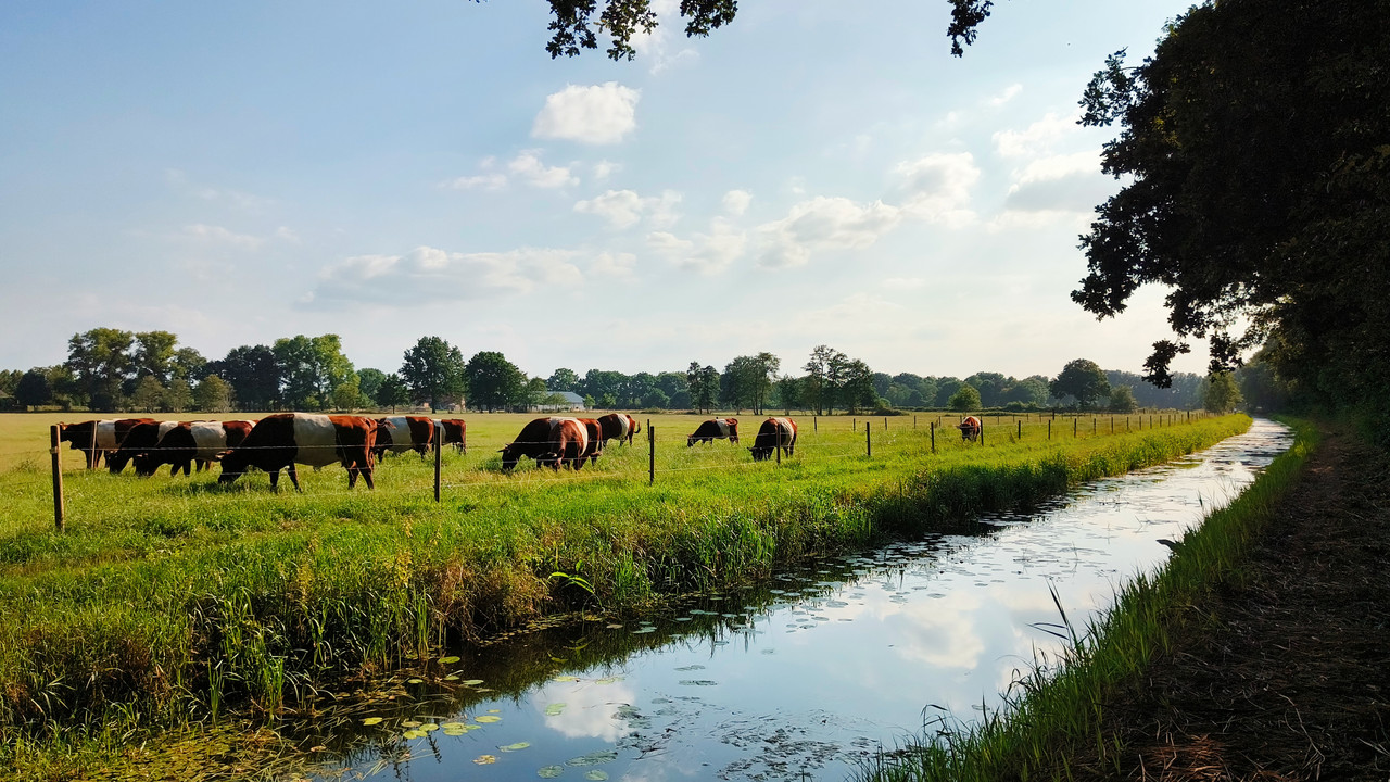 Lumii_20250810_184903786