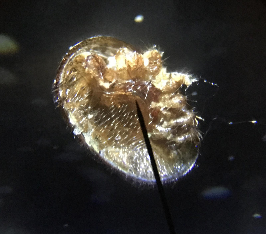 09BDEFC6-C91E-4BFB-AD1C-BC7542CA38D7