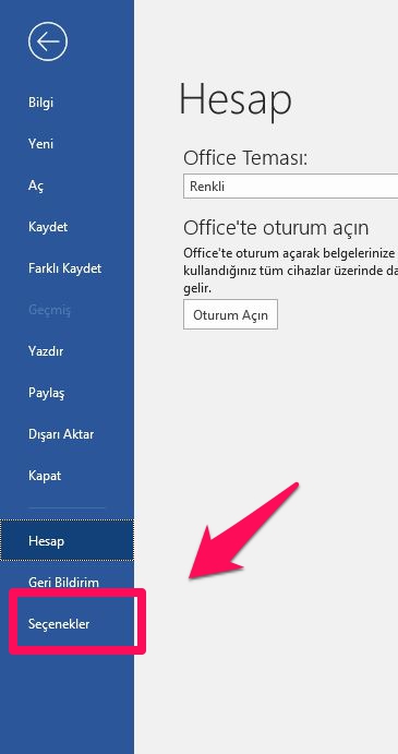 word2019 seçenekler