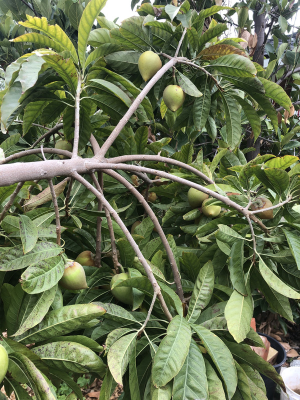 EC45EB32-EEE5-4D69-BD8A-249C7F55DB06