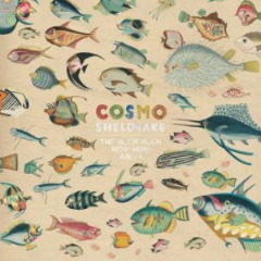 Cosmo-Sheldrake-300x300.jpg
