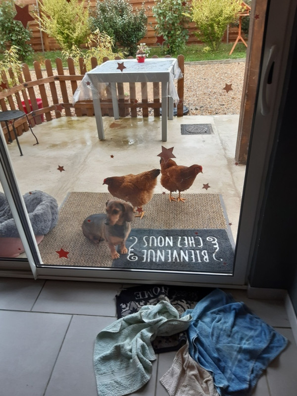 [Image: Resized-20211214-130521.jpg]