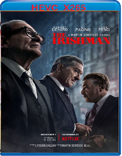 The Irishman (2019) mkv FullHD 1080p HEVC AC3 ITA ENG Sub