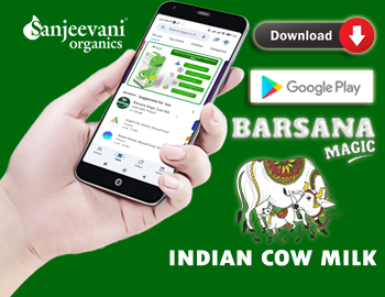 sanjeevani agrofoods and barsana magic dairy