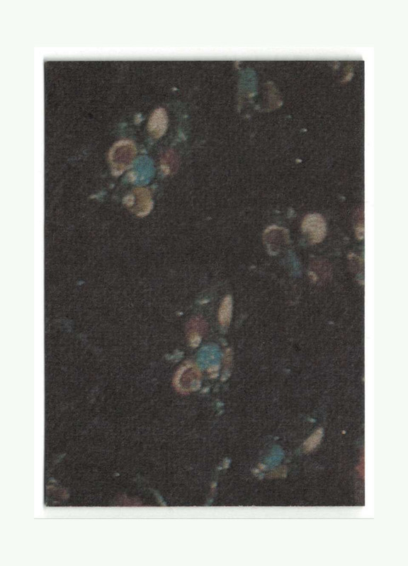 Picture 10 of 86
