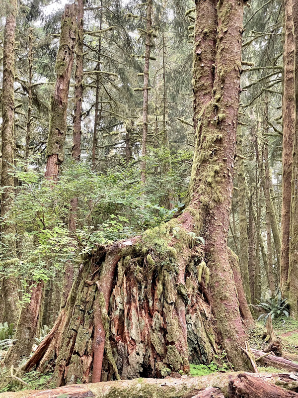 B372D472-4CBA-4074-91D7-1B30B41F87CB