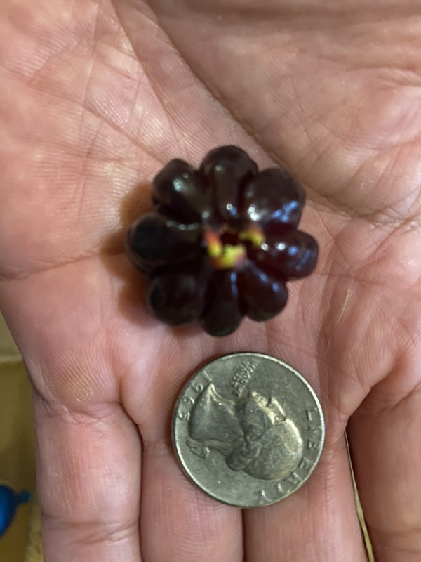 F09A3997-1A00-4B31-A329-C26A6ADA21B6