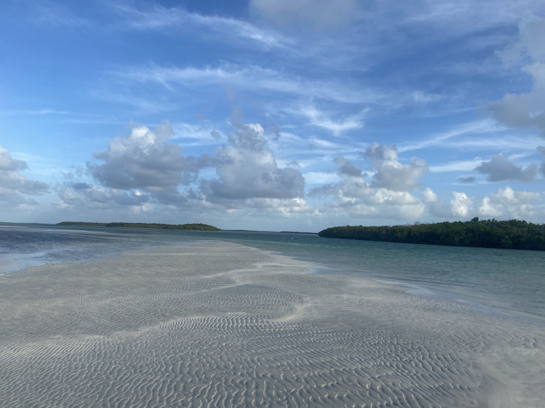 526FE461-F5A9-49FF-89A2-9033562FE9DE