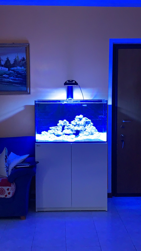 764C409C-6C7B-4CC5-85EB-ED03DEE599DC