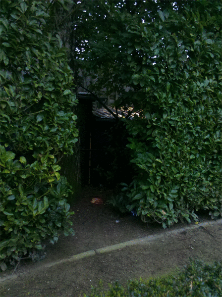 Particles illuminating the dark habitat