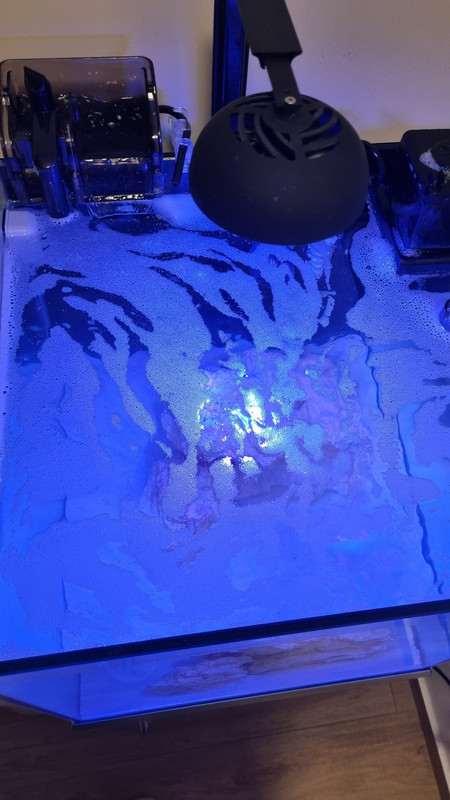 17680358217297550799127851980861