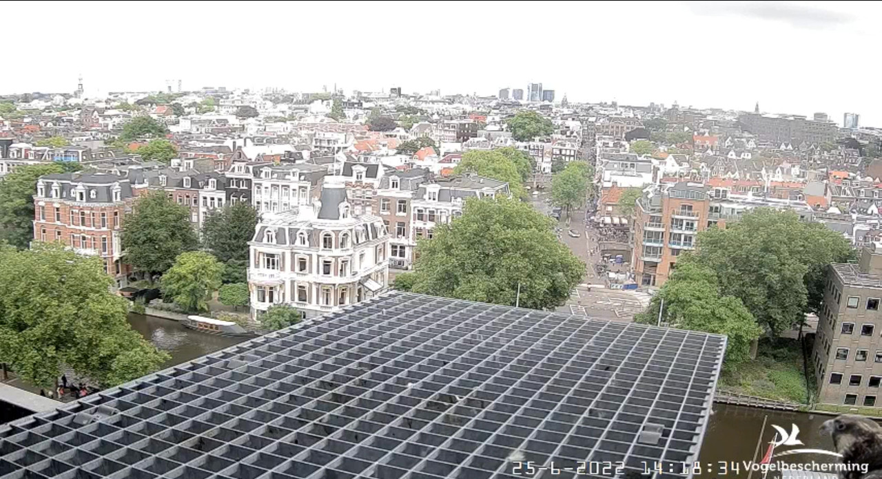 Amsterdam/Rijksmuseum screenshots © Beleef de Lente/Vogelbescherming Nederland - Pagina 32 Video-2022-06-25-142845-Moment