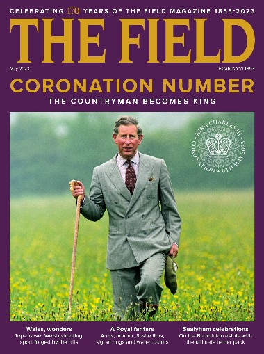 The Field - May / 2023