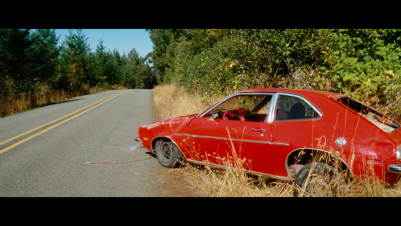 mpv shot Strange Darling 2023 1080p BDRemux GER Transfer AVC Нечипорук 00 06 02 0003