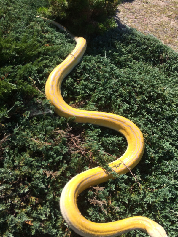 CC7885E2-A922-434E-B683-AF19F2C5BBE6