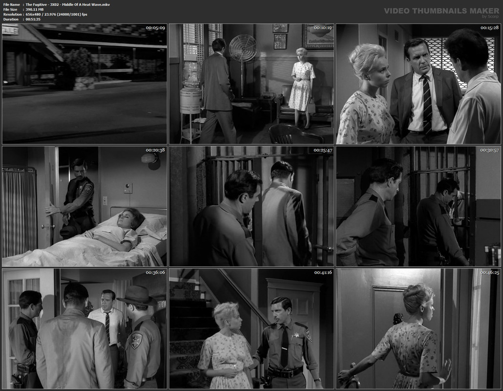 The Fugitive - 3X02 - Middle Of A Heat Wave.mkv