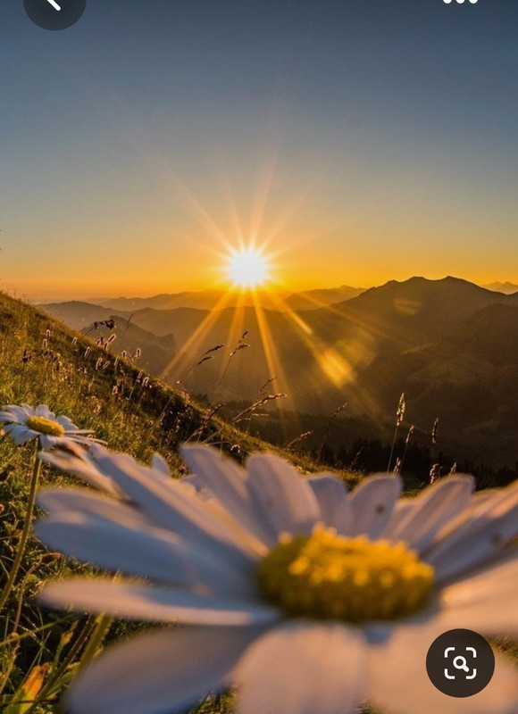 Screenshot_20230512_223859_Pinterest