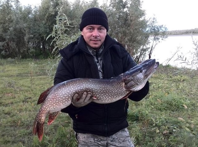 85 1 Мальков Дмитрий джиг спиннинг судак щука мастер-класс Куляпин Андрей обучение рыбалка троллинг 