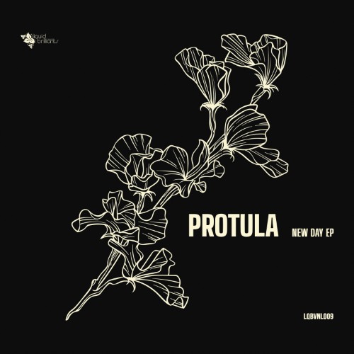 Protula - New Day (2026) MP3