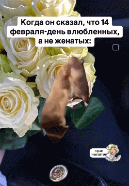 GIF-13-02-2025-14-54-51.gif