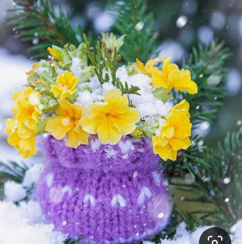 Screenshot_20230327_233658_Pinterest