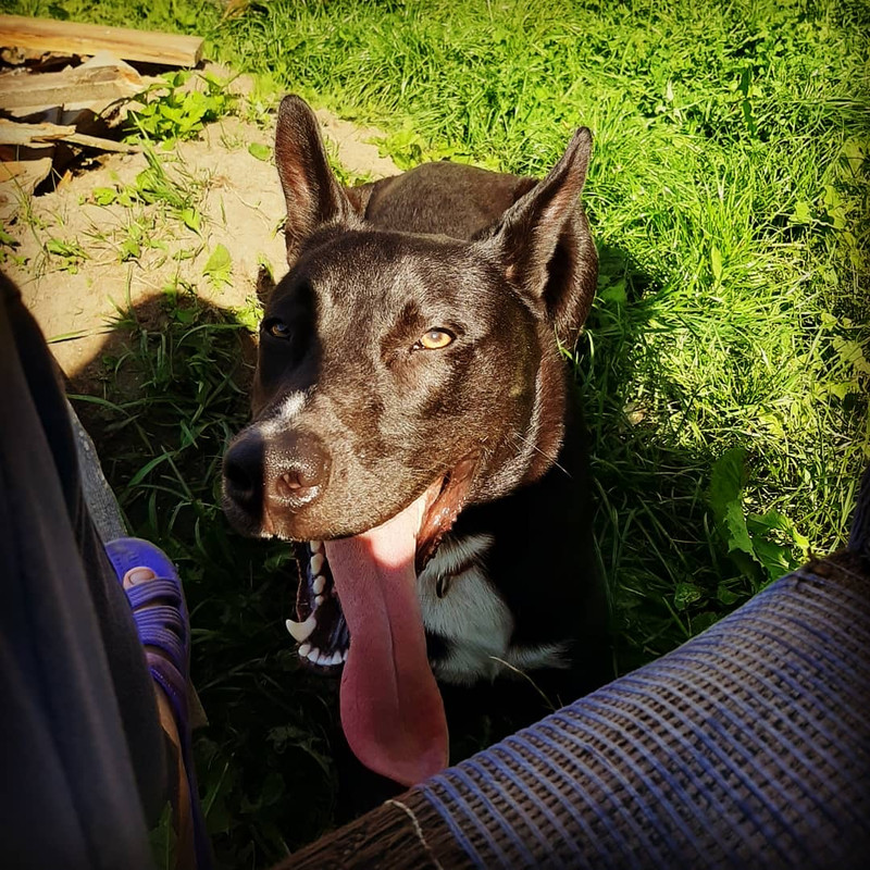 DA8D272C-7226-4A84-ACE2-77E025012ECF